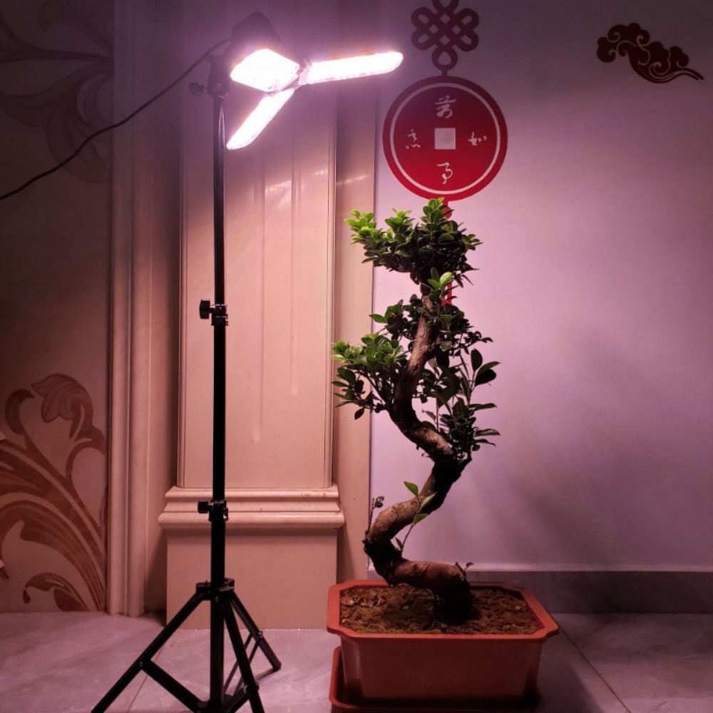 Ampul Standı 2M, Şemsiye Lamba - Stand Lighting Photography incelemesi ve fiyatı